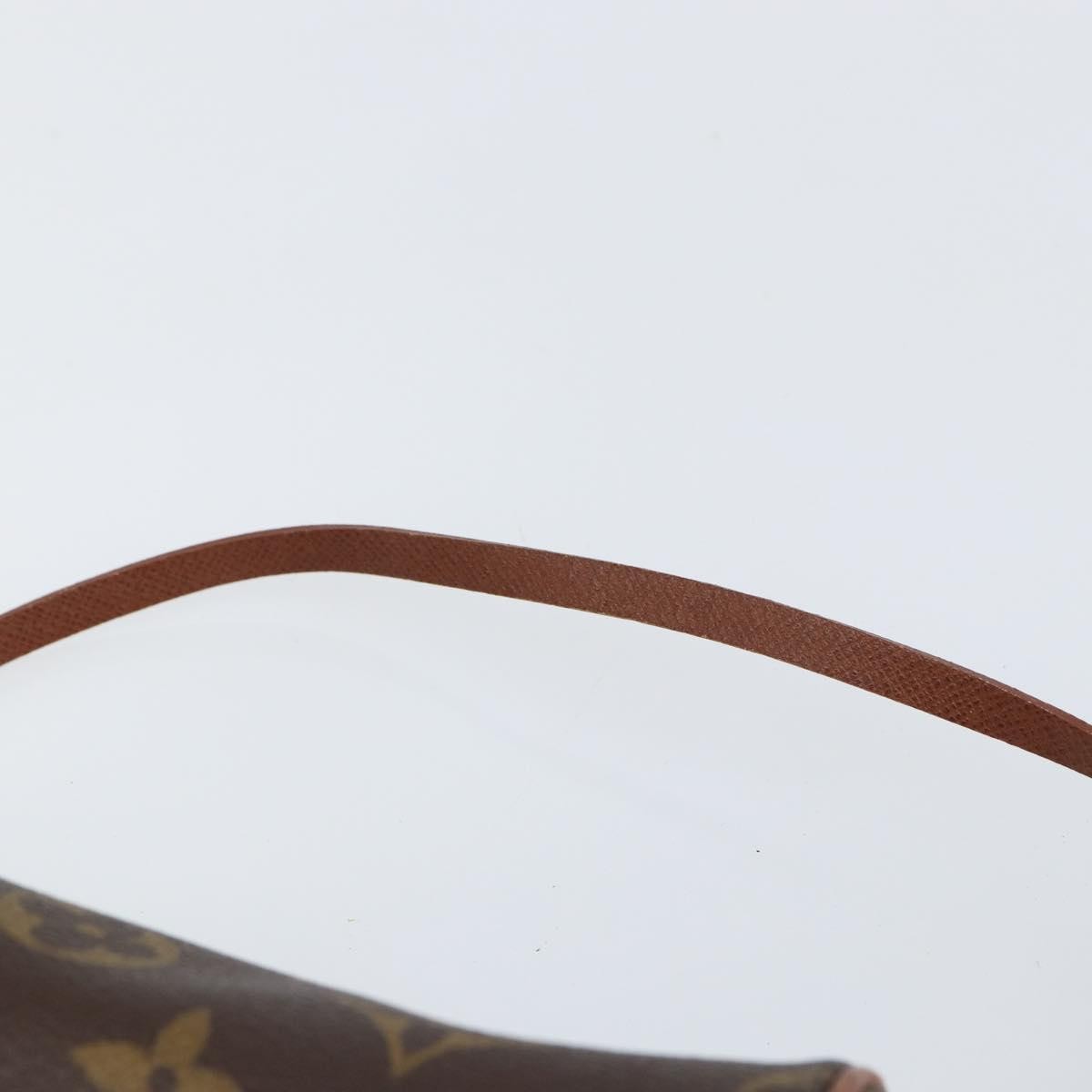 Louis Vuitton Papillon Pochette Monogram Canvas