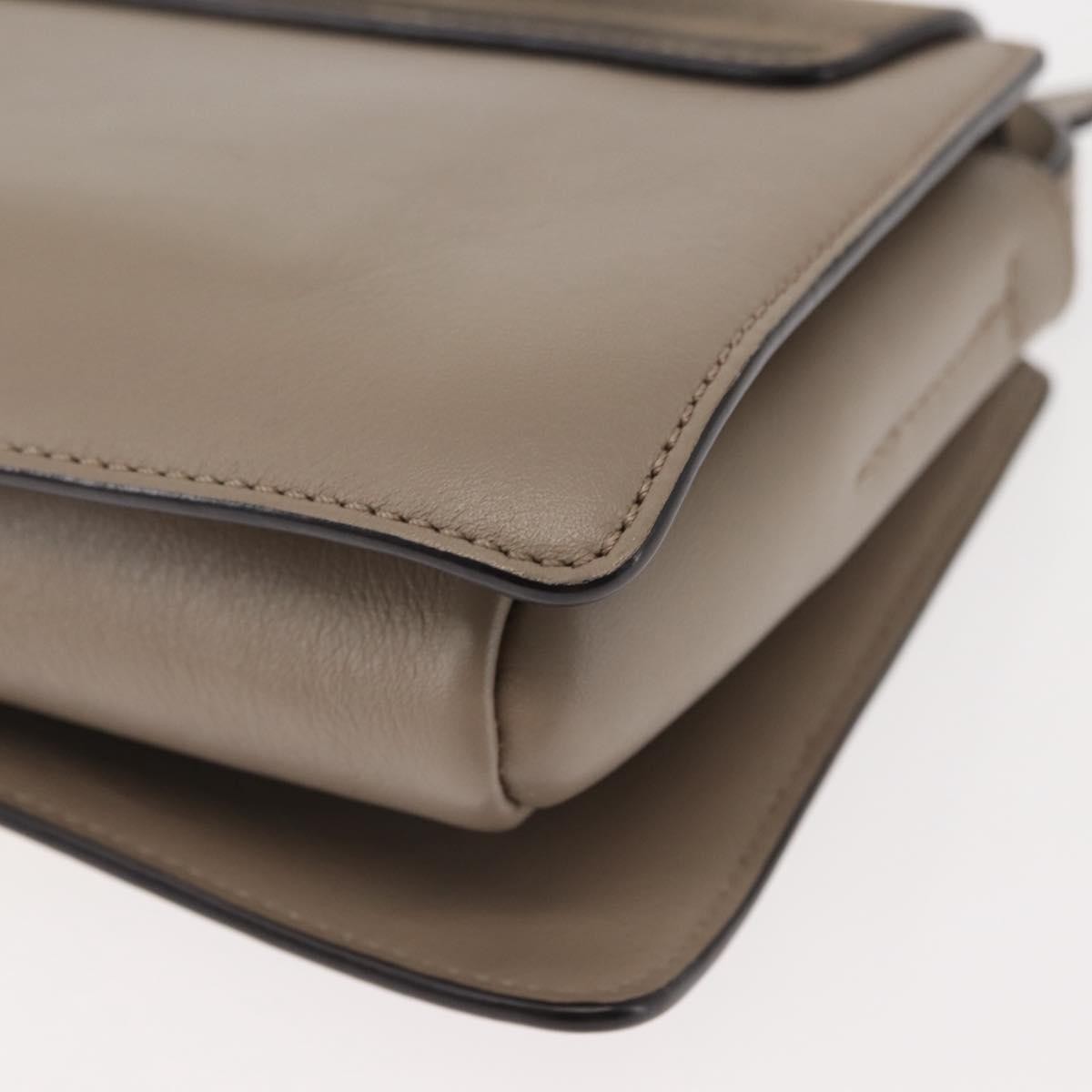 Chloe Faye Shoulder Bag Leather and Suede