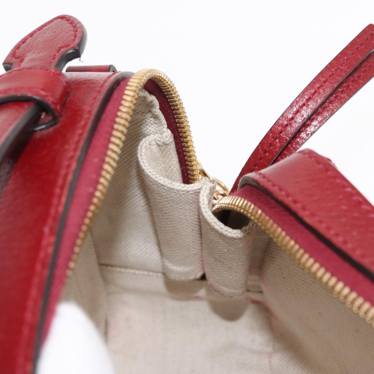 Gucci Doraemon Ophidia Zip Around Camera Bag Printed Mini GG Coated Canvas