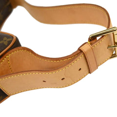 Louis Vuitton Croissant Handbag Monogram Canvas