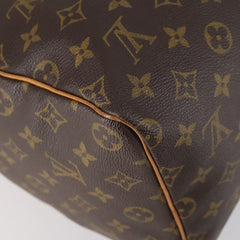 Louis Vuitton Speedy Handbag Monogram Canvas