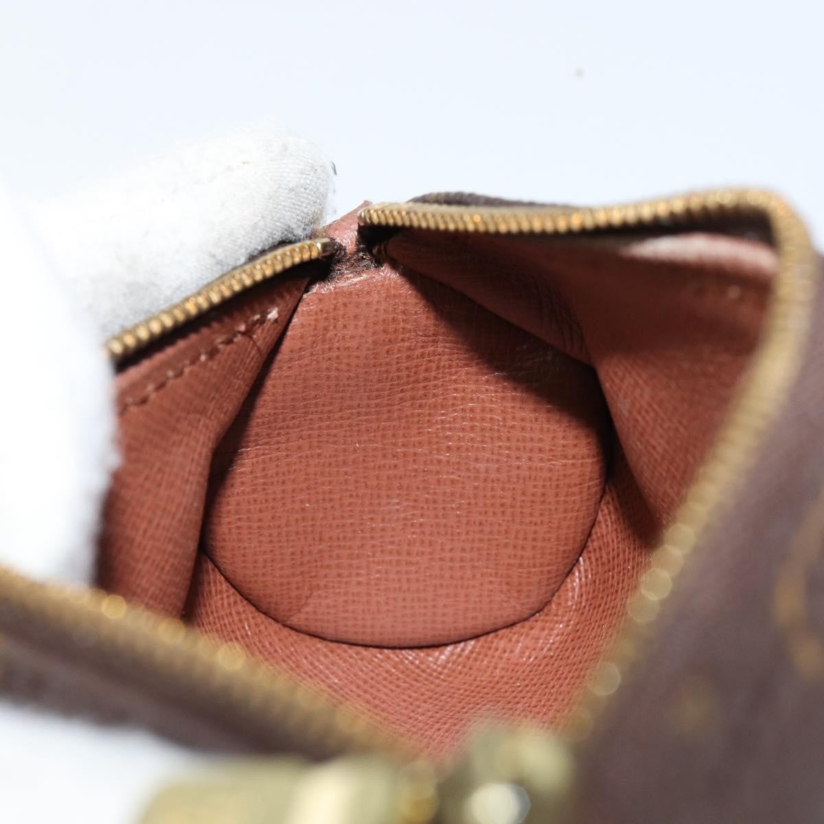 Louis Vuitton Papillon Pochette Monogram Canvas