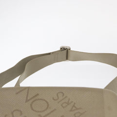 Louis Vuitton Mage Waist Bag Damier Geant Canvas