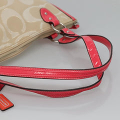 Coach Bag Sling