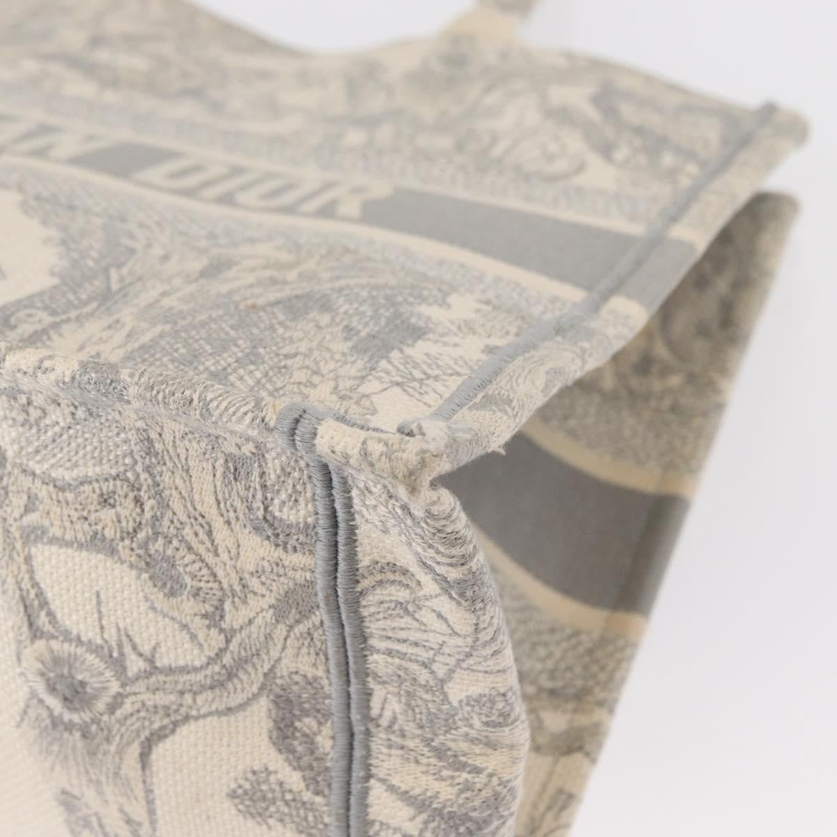Christian Dior Book Tote Embroidered Canvas