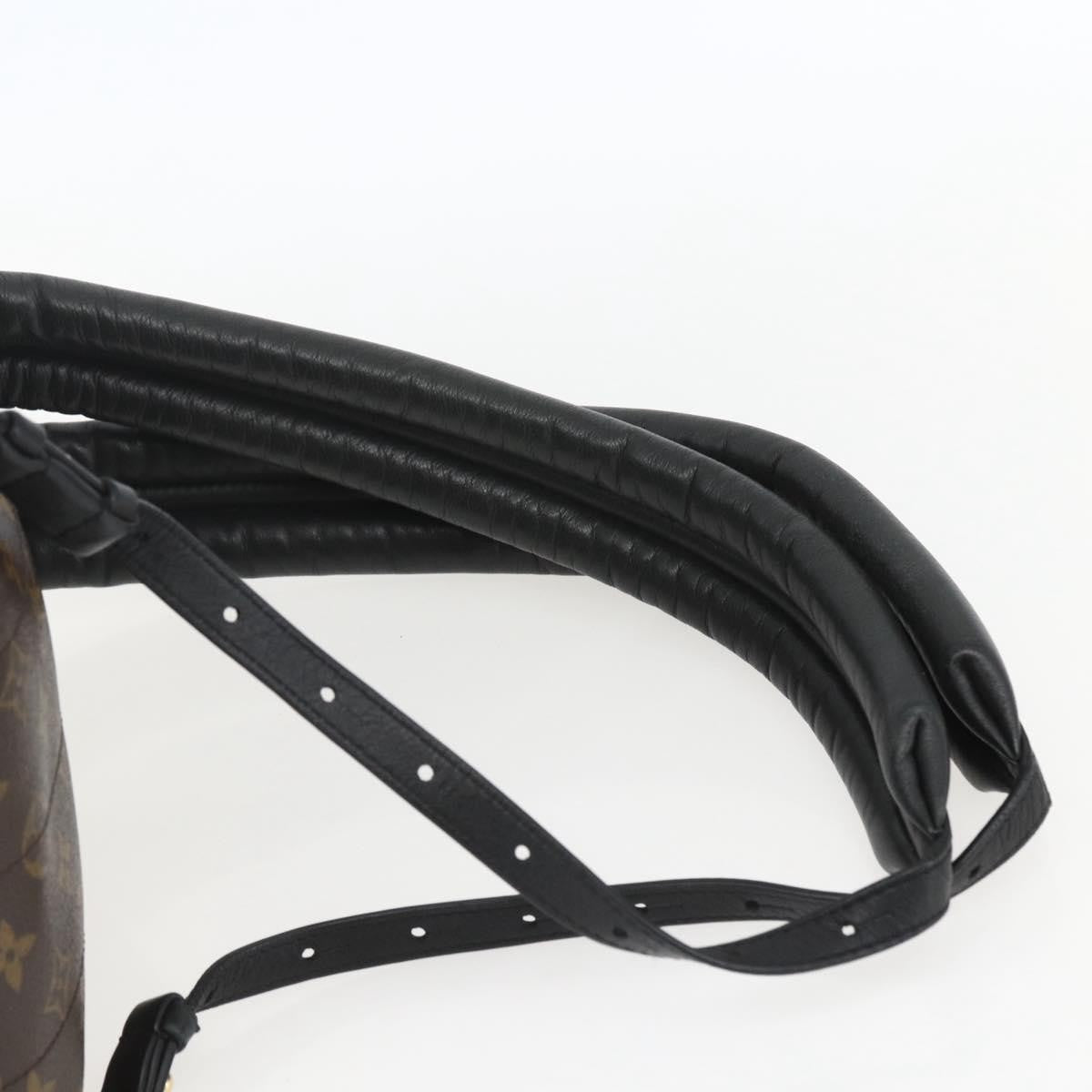 Louis Vuitton Palm Springs Backpack Monogram Canvas