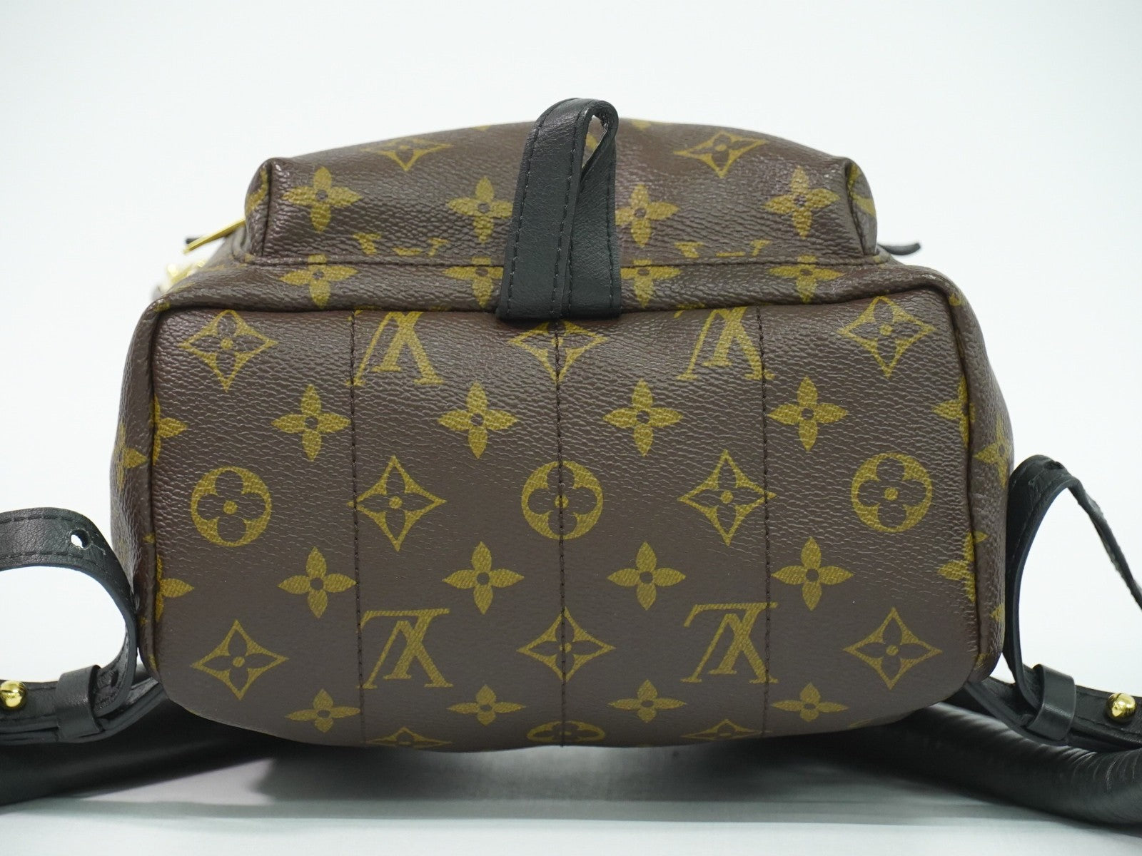 Louis Vuitton Palm Springs Backpack Monogram Canvas
