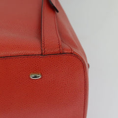 Celine Backpack Leather