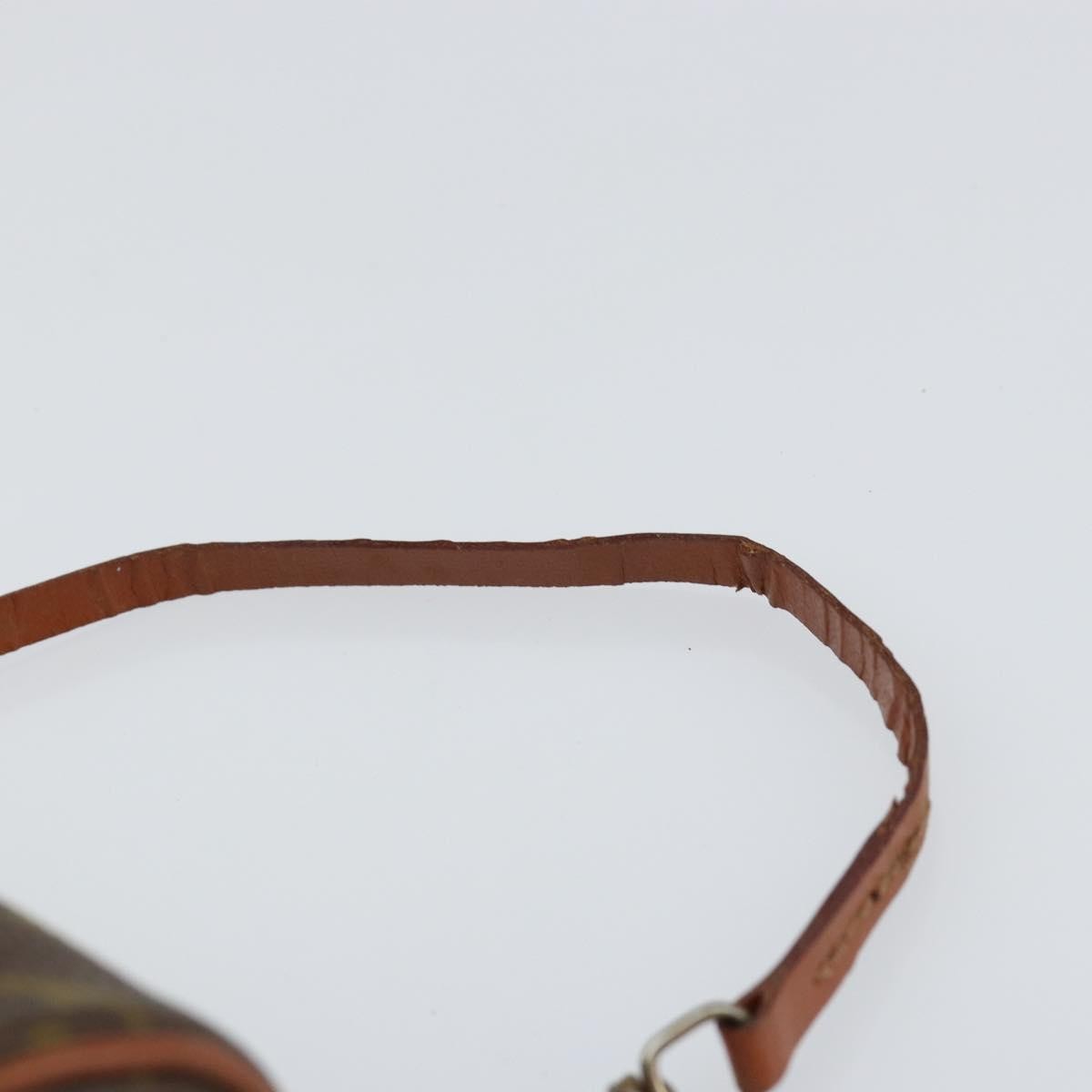 Louis Vuitton Papillon Pochette Monogram Canvas