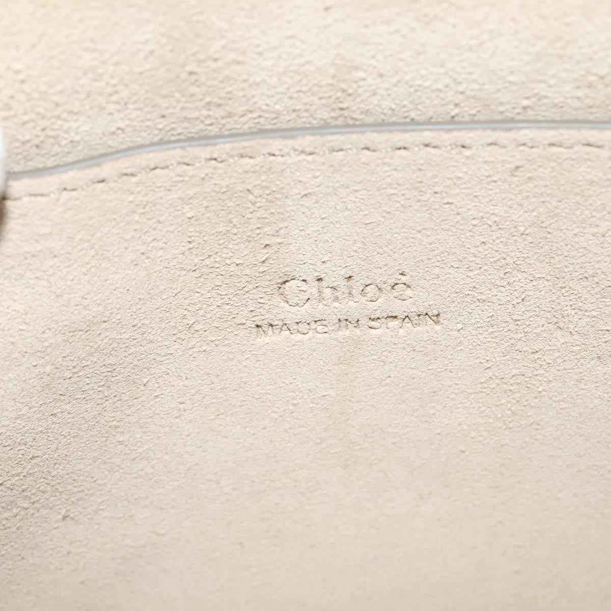Chloe Faye Shoulder Bag Leather and Suede
