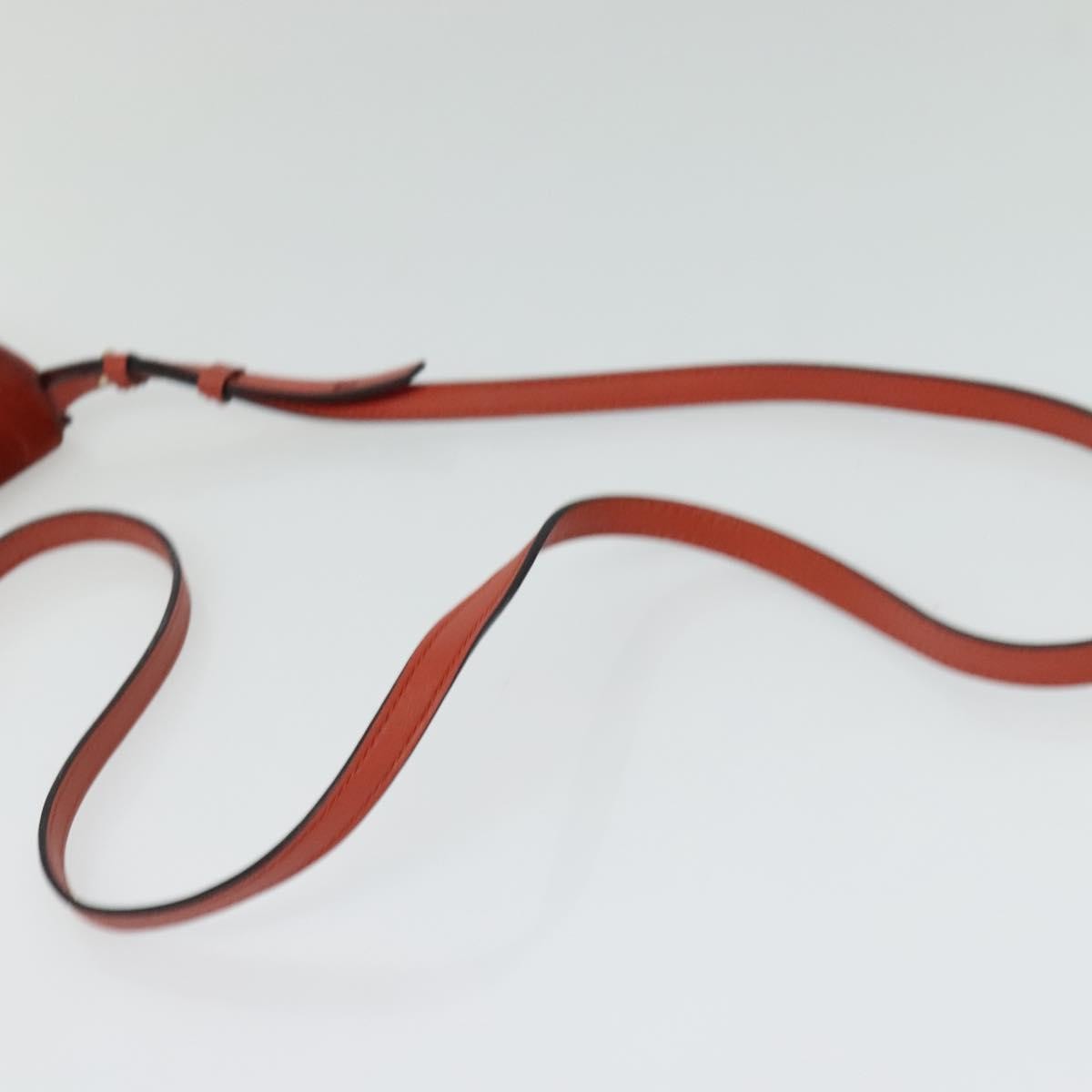 Chloe Faye Crossbody Leather and Suede