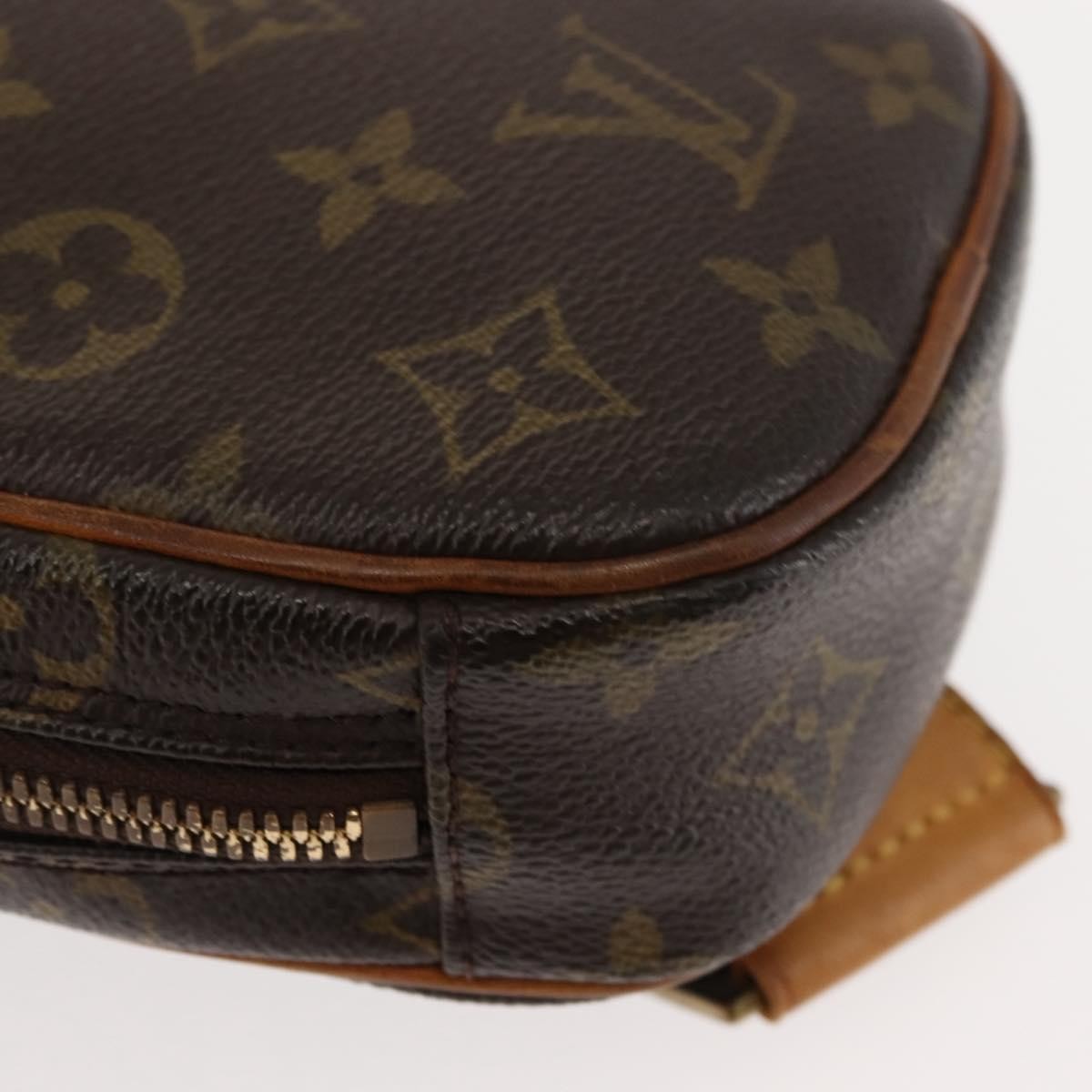Louis Vuitton Pochette Gange Monogram Canvas