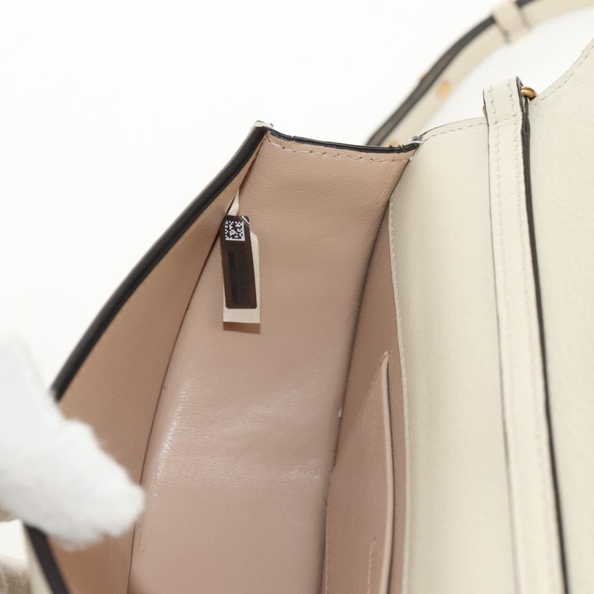 Chloe Nile Minaudière Leather