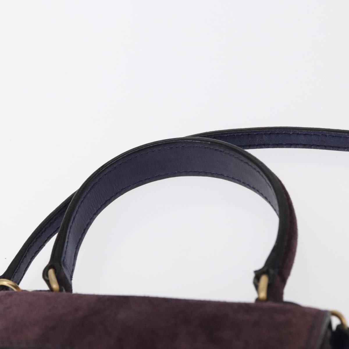 Celine Handbag Suede