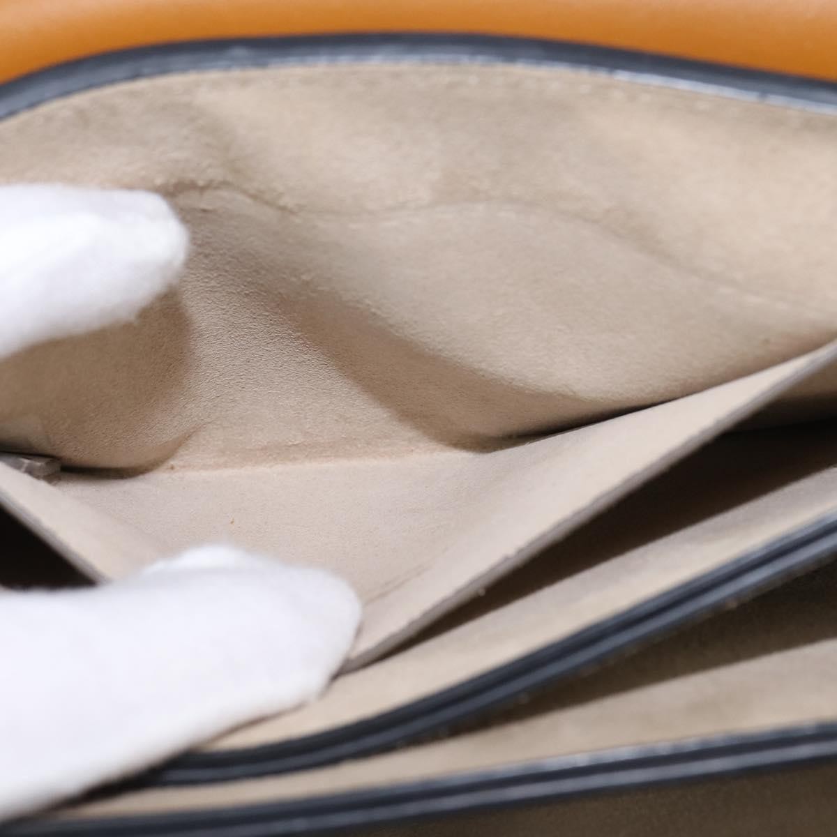 Chloe Faye Shoulder Bag Leather and Suede