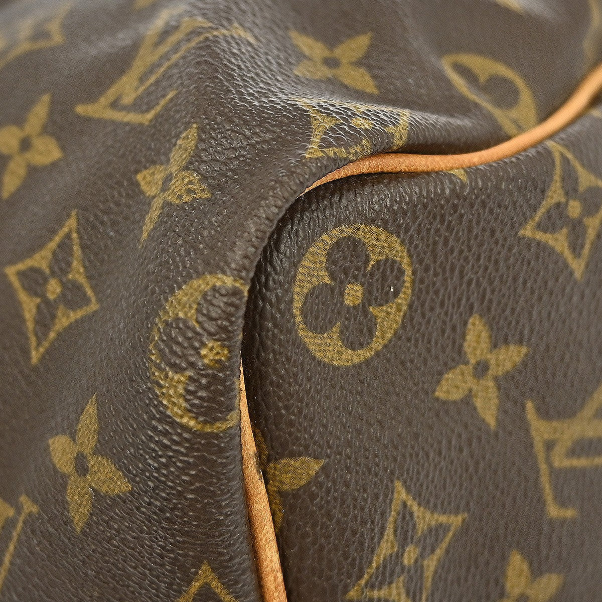 Louis Vuitton Speedy Handbag Monogram Canvas