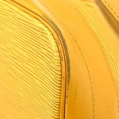 Louis Vuitton Noe Handbag Epi Leather