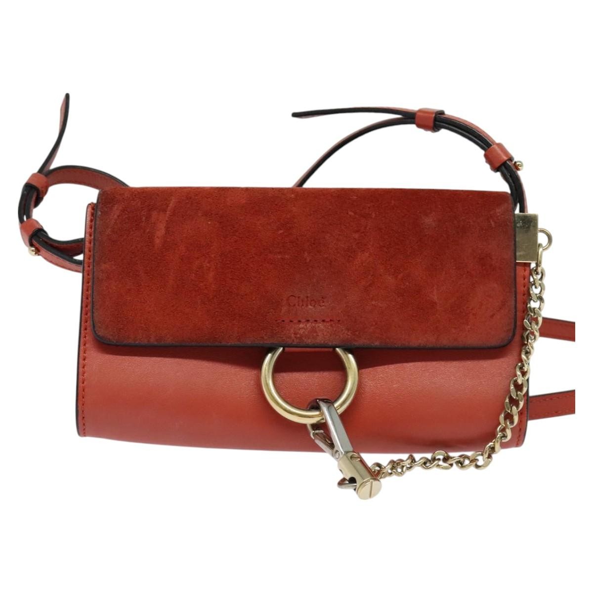 Chloe Faye Crossbody Leather and Suede