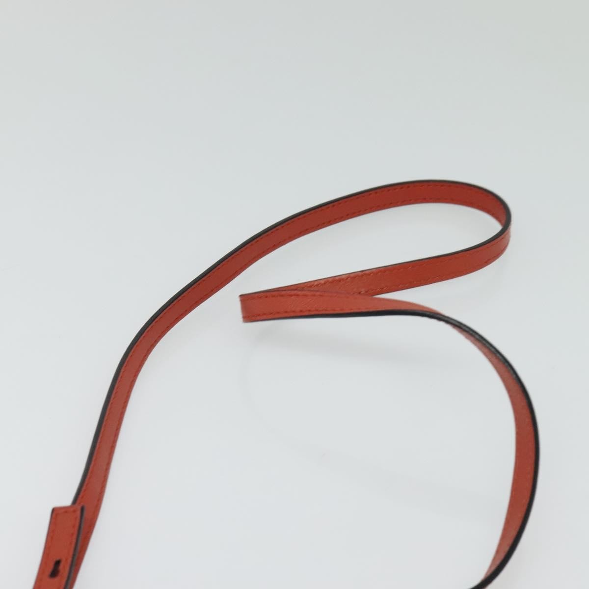 Chloe Faye Crossbody Leather and Suede