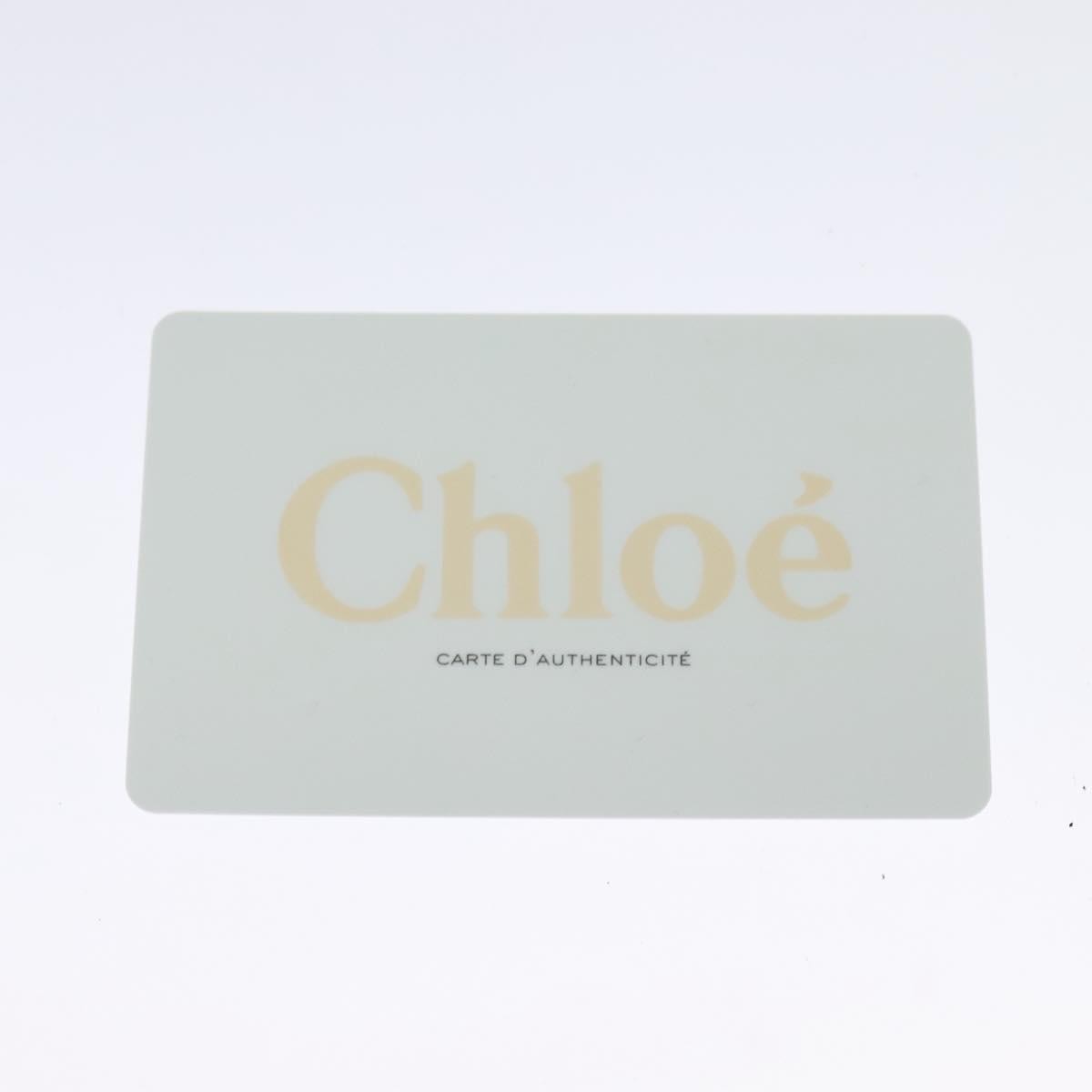 Chloe Faye Shoulder Bag Leather and Suede