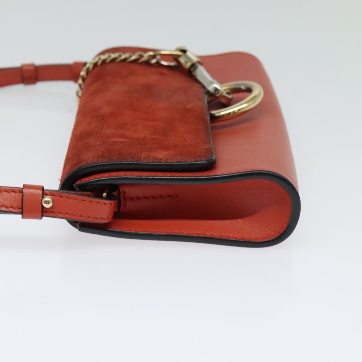 Chloe Faye Crossbody Leather and Suede