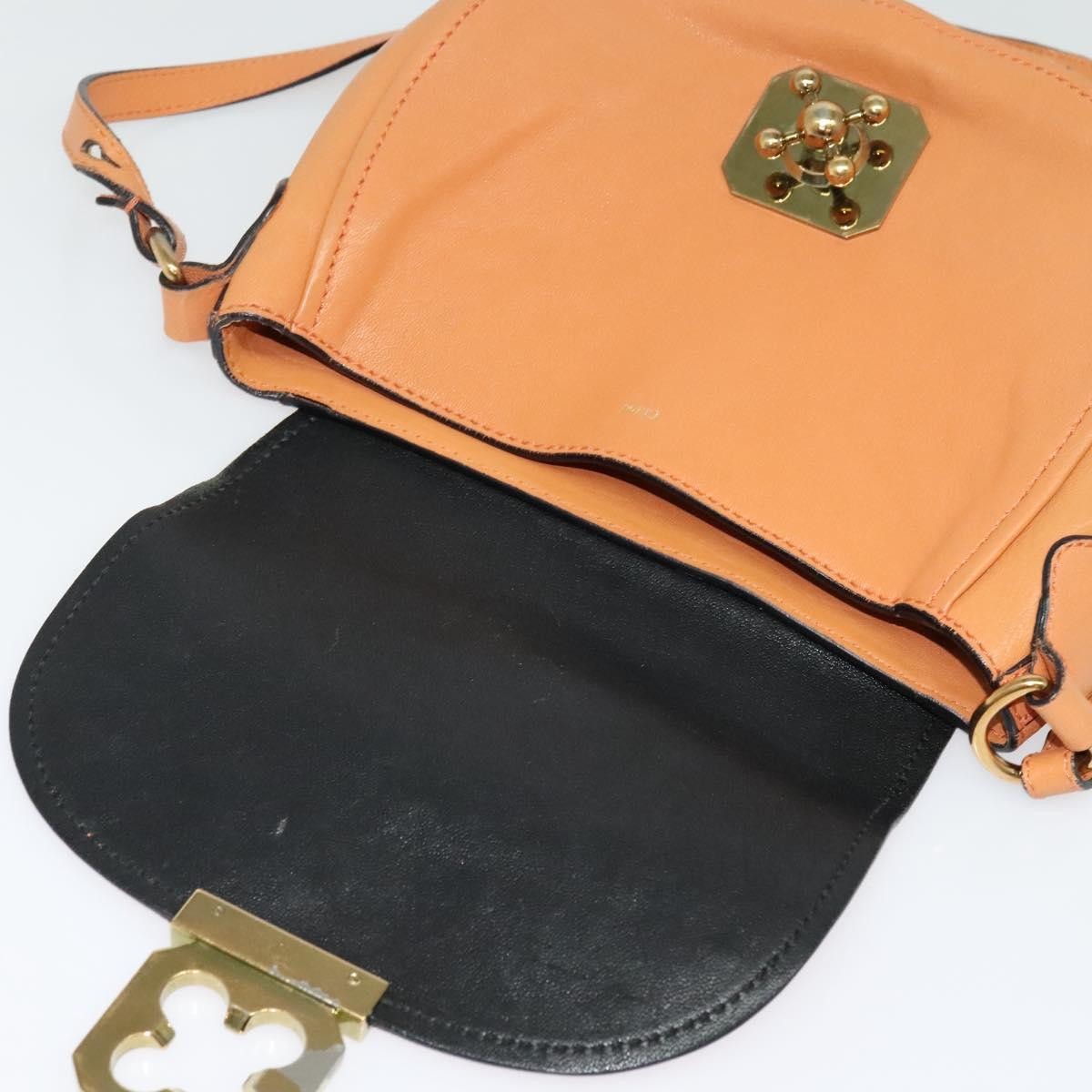 Chloe Elsie Shoulder Bag Perforated Leather