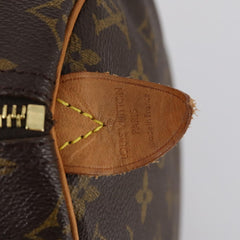 Louis Vuitton Speedy Handbag Monogram Canvas