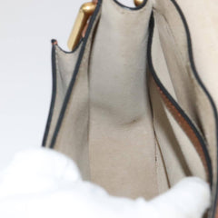 Chloe Multicolor Fringe Hudson Bag Leather