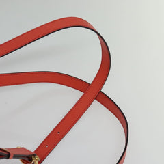 Celine Backpack Leather