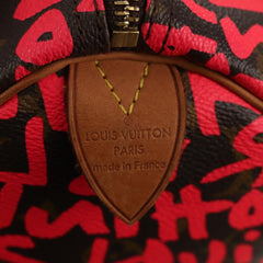 Louis Vuitton Speedy Handbag Limited Edition Monogram Graffiti