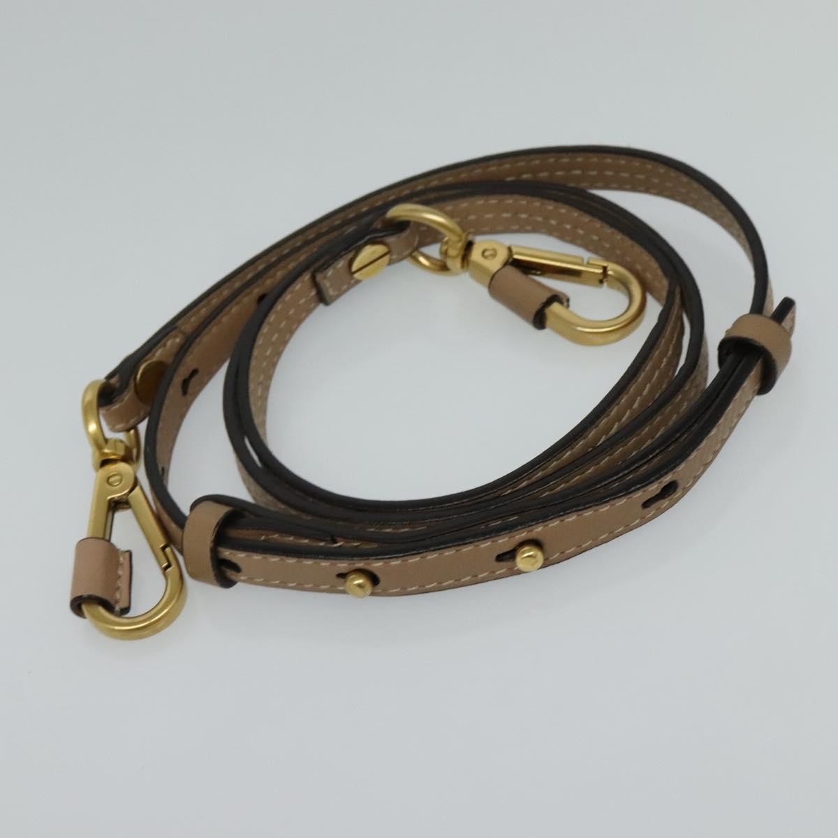 Chloe Nile Crossbody Bag Leather