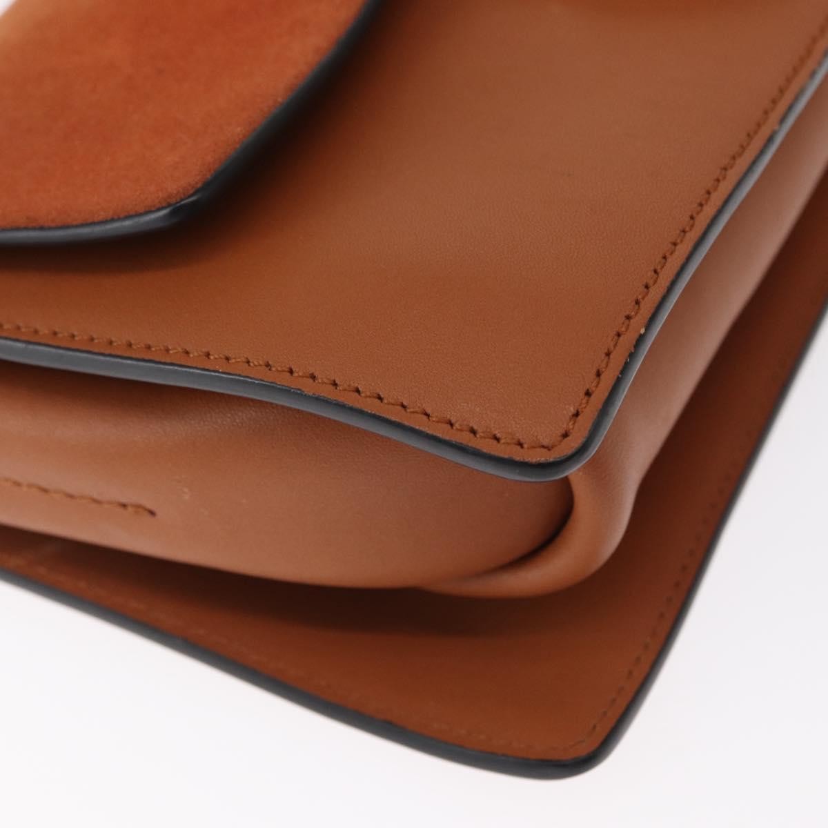 Chloe Faye Shoulder Bag Leather and Suede