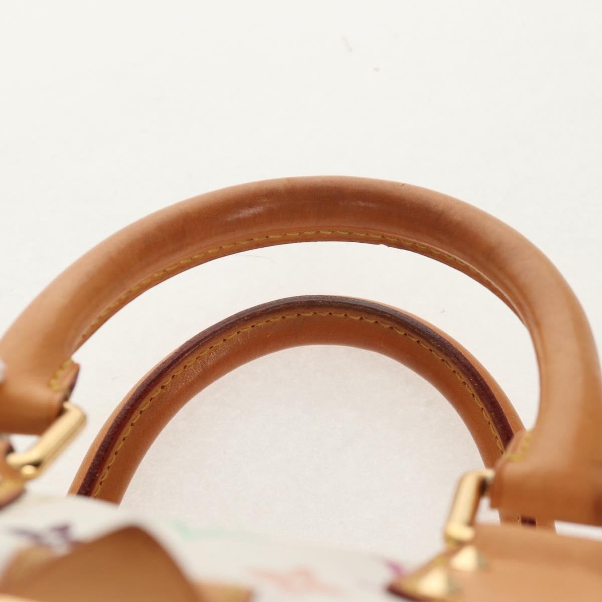 Louis Vuitton Speedy Handbag Monogram Multicolor