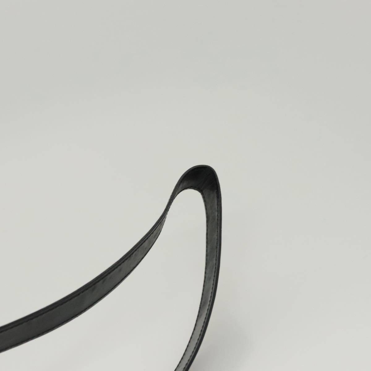 Celine Circle logo Canvas