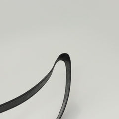 Celine Circle logo Canvas