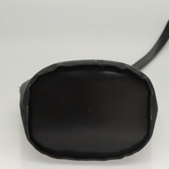 Celine Circle logo Canvas