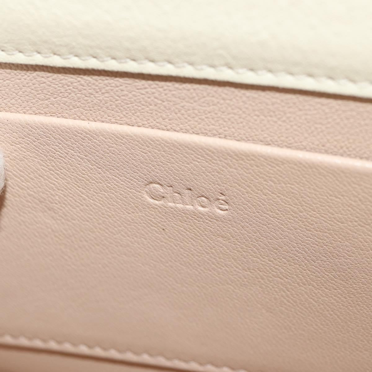 Chloe Nile Minaudière Leather