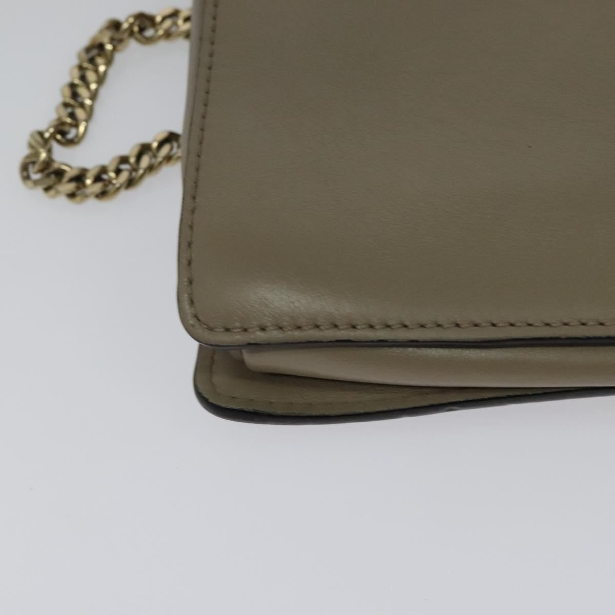 Chloe Faye Crossbody Leather and Suede