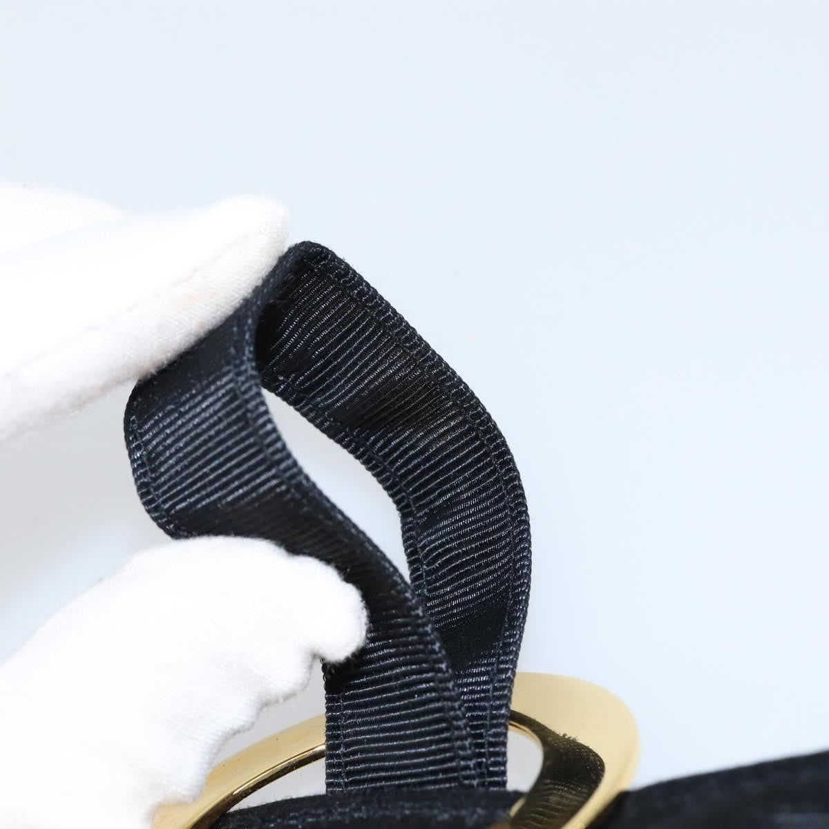 Celine Circle Logo Pouch Nylon