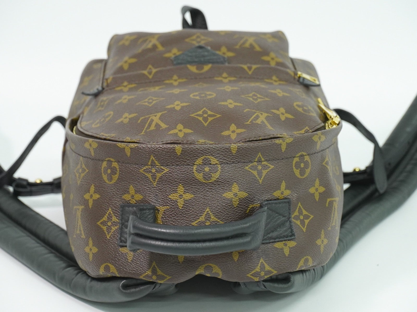 Louis Vuitton Palm Springs Backpack Monogram Canvas