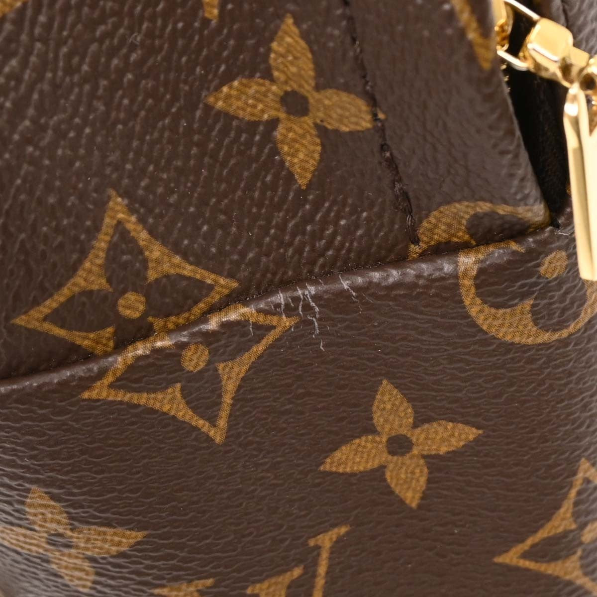 Louis Vuitton Palm Springs Backpack Monogram Canvas