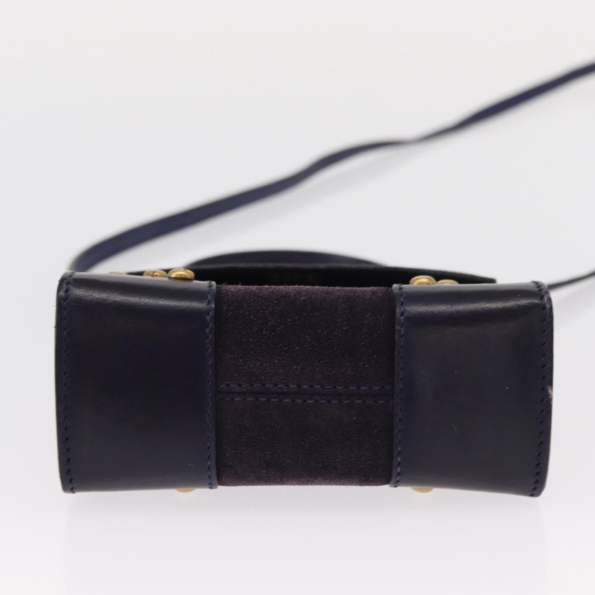 Celine Handbag Suede