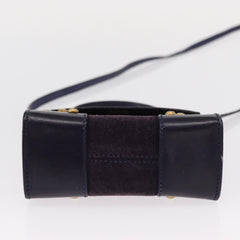 Celine Handbag Suede