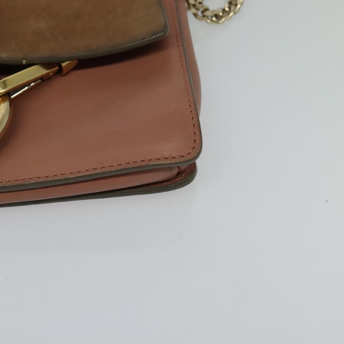 Chloe Faye Crossbody Leather and Suede
