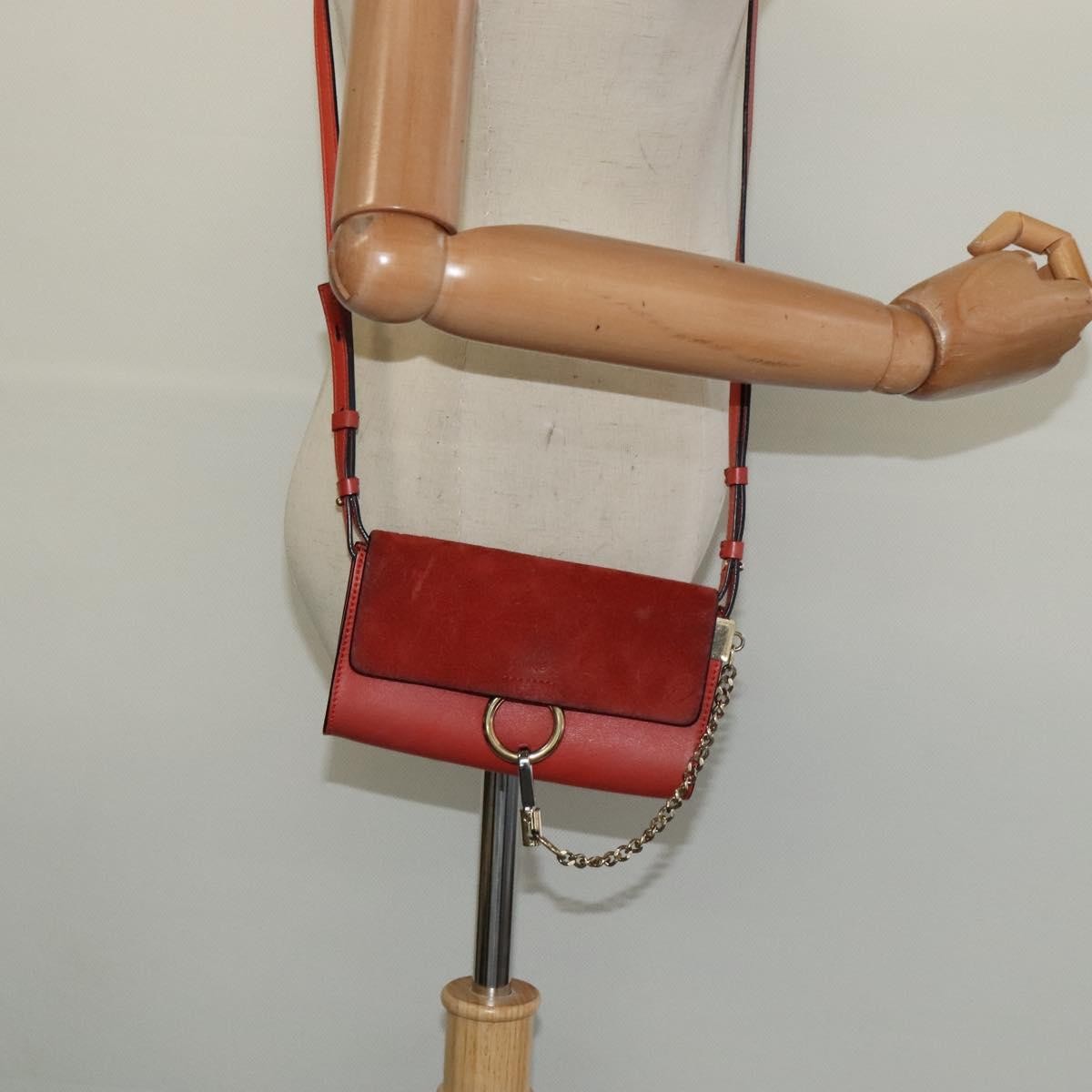 Chloe Faye Crossbody Leather and Suede