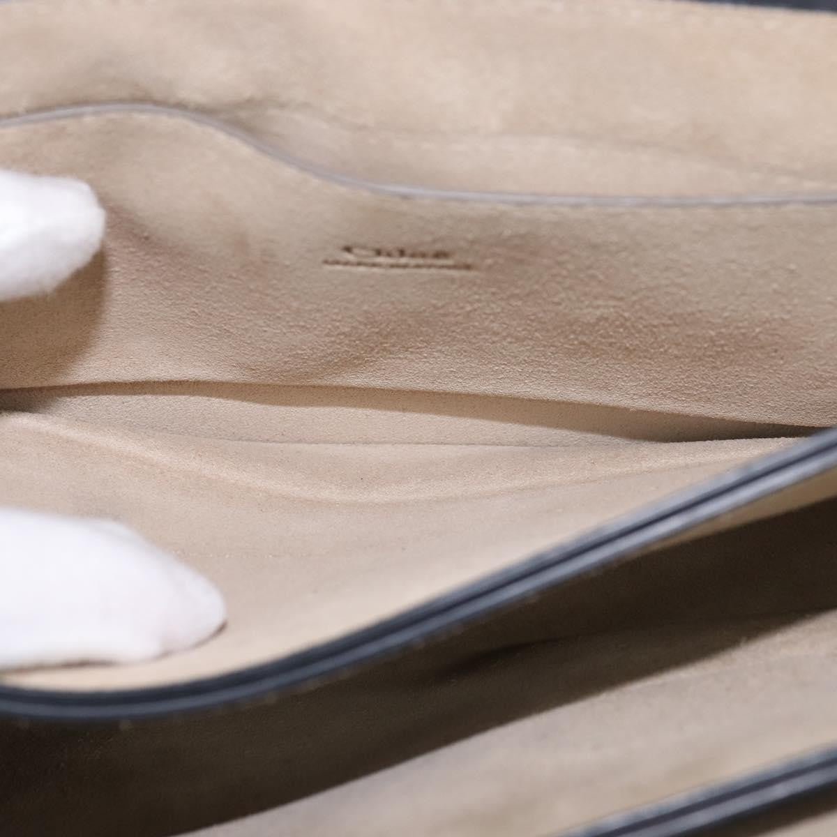 Chloe Faye Shoulder Bag Leather and Suede