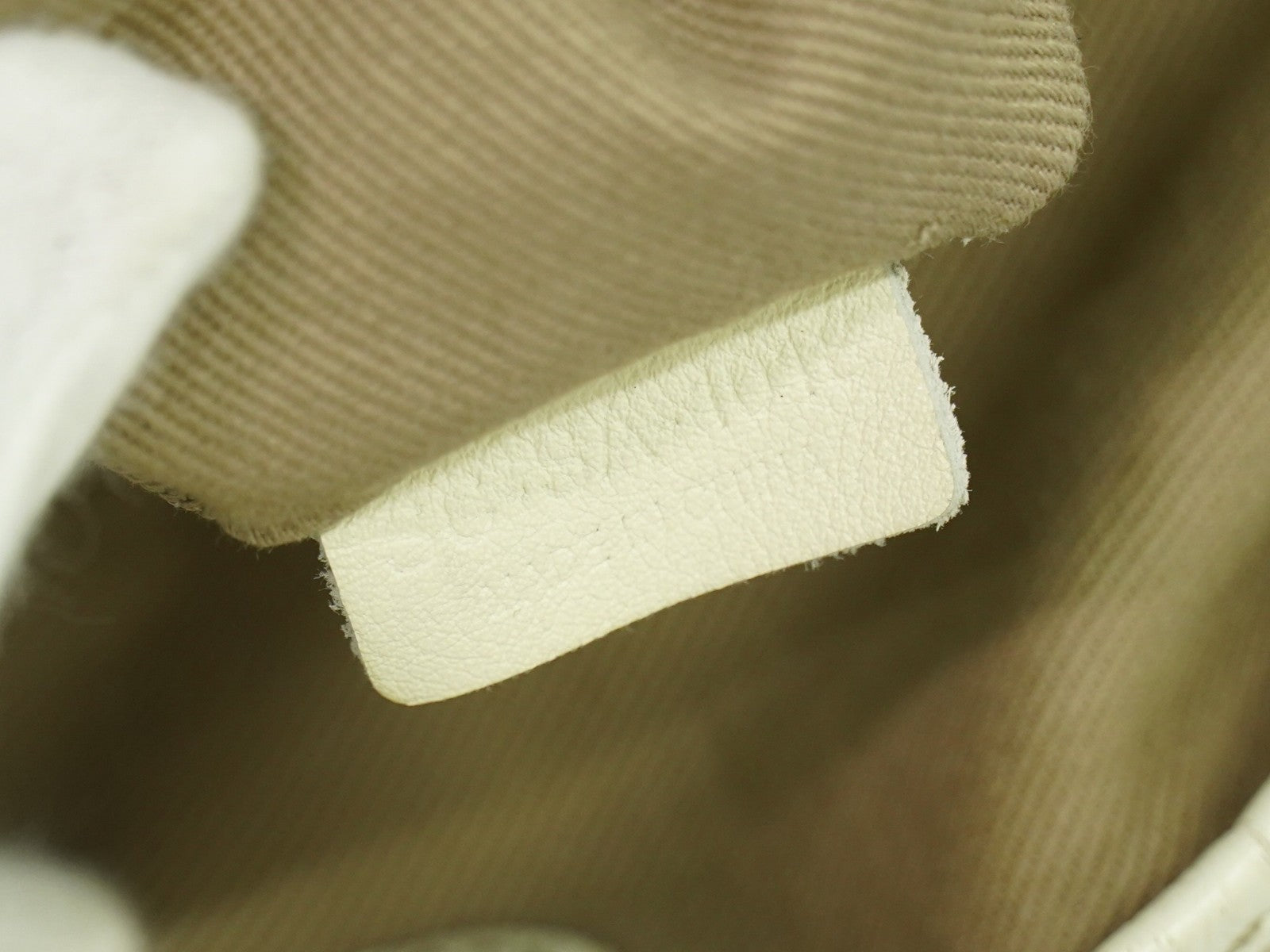 Celine Bittersweet Canvas