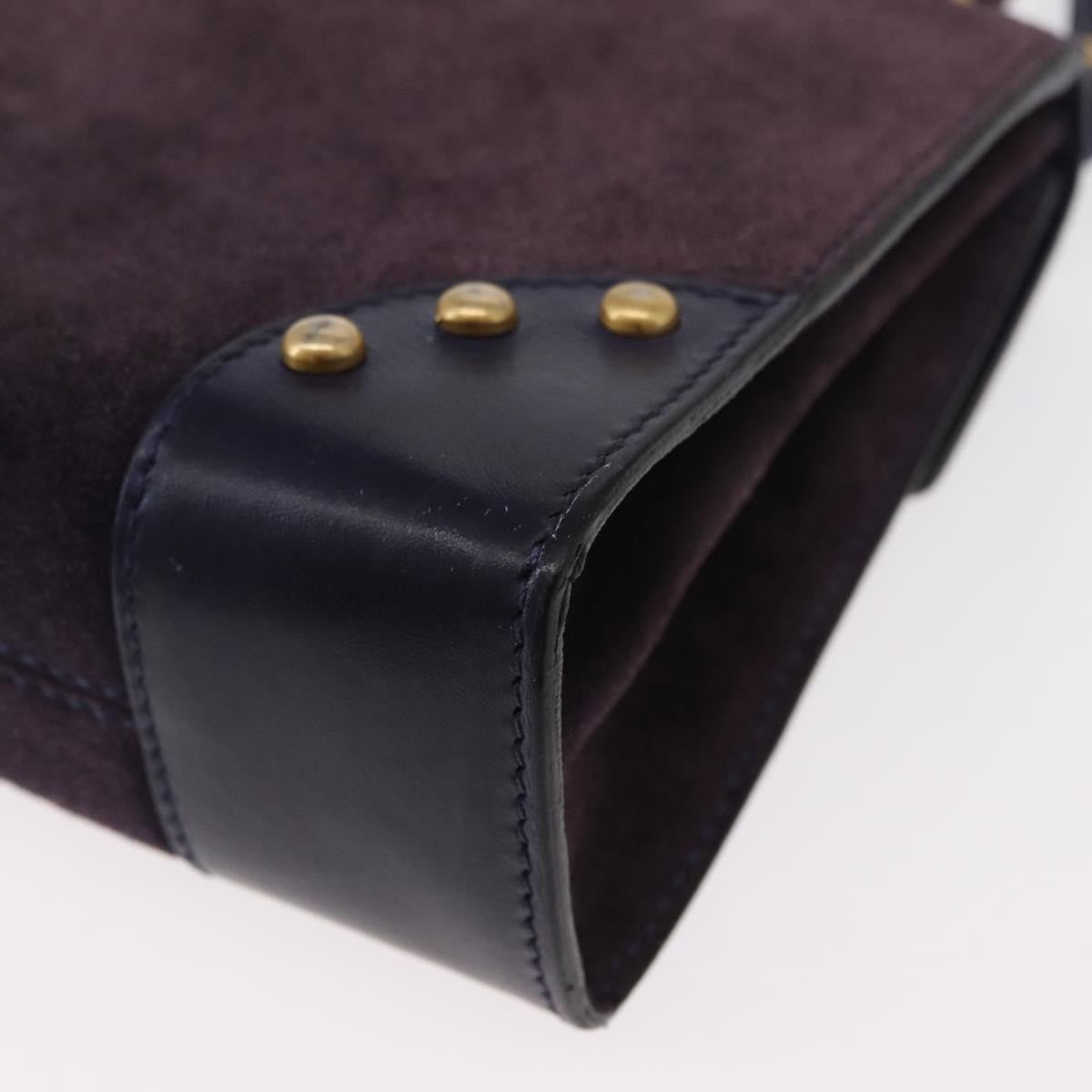 Celine Handbag Suede