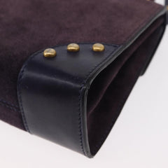 Celine Handbag Suede