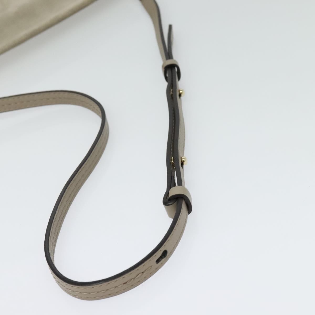 Chloe Faye Shoulder Bag Leather and Suede